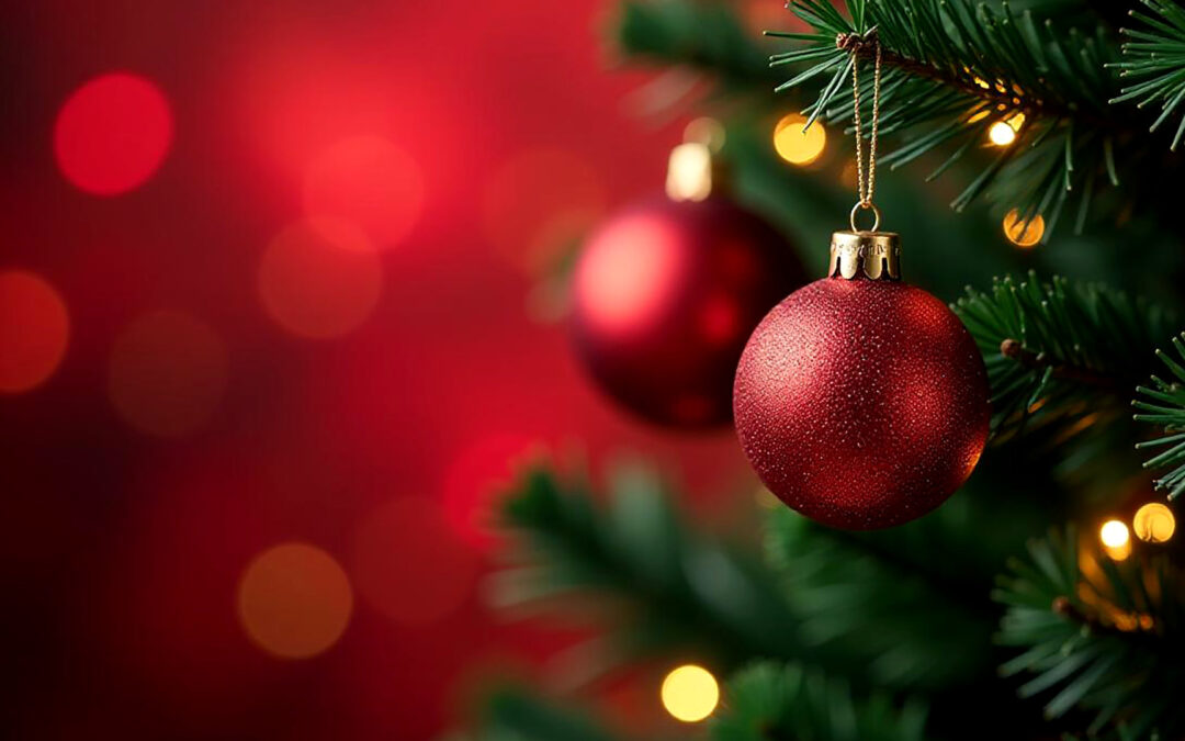 Merry Christmas! Feliz Natal!